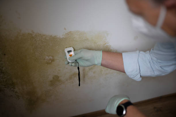 Crawl Space Mold Removal in Oologah, OK